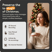 Give them an Evergreen Echo this Christmas